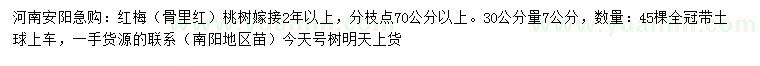 求購30公分量7公分紅梅（骨里紅）