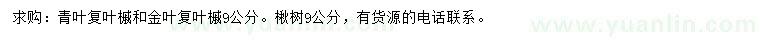 求購(gòu)青葉復(fù)葉槭、金葉復(fù)葉槭、楸樹(shù)