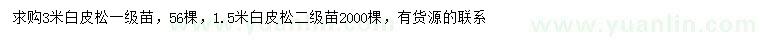 求購1.5、3米白皮松