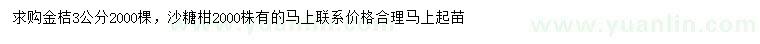 求購3公分金桔、沙糖柑