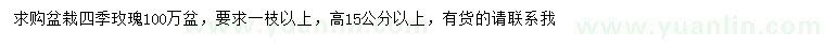 求購高15公分以上四季玫瑰