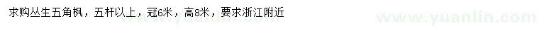 求購(gòu)高8米叢生五角楓