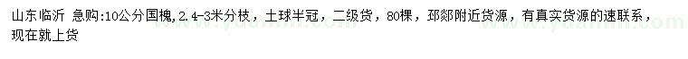 求購10公分國槐