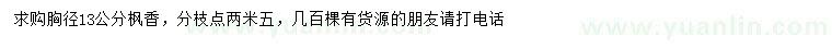 求購胸徑13公分楓香