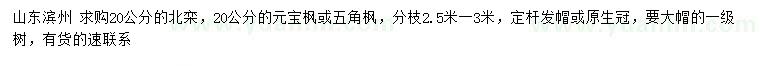 求購北欒、元寶楓、五角楓