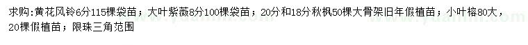 求購黃花風(fēng)鈴、大葉紫薇、秋楓等