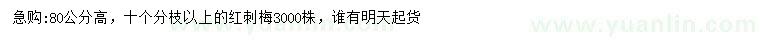 求購(gòu)高80公分紅刺梅