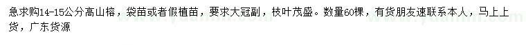 求購14-15公分高山榕