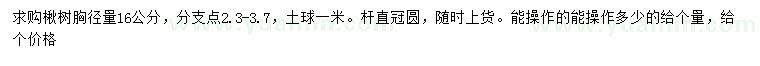 求購胸徑量16公分楸樹