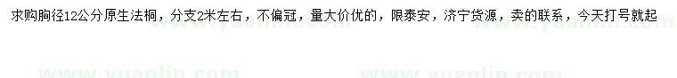 求購胸徑12公分法桐