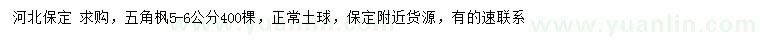 求購(gòu)5-6公分五角楓