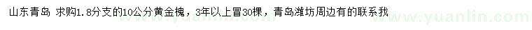 求購(gòu)10公分黃金槐