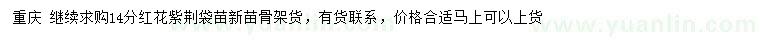 求購14公分紅花紫荊