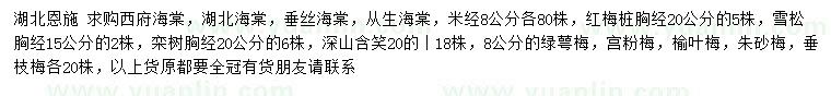 求購(gòu)西府海棠、湖北海棠、垂絲海棠等