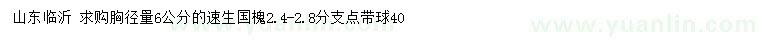 求購(gòu)胸徑量6公分速生國(guó)槐