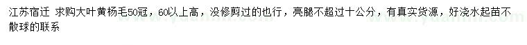 求購(gòu)冠幅50公分大葉黃楊