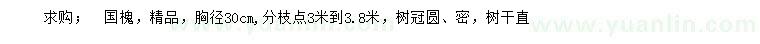 求購胸徑30公分精品國槐