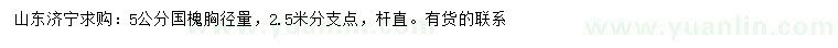 求購胸徑量5公分國槐