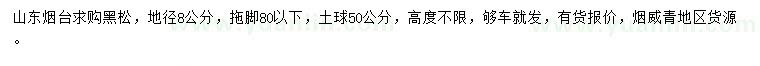 求購地徑8公分黑松