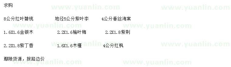 求購紅葉碧桃、紫葉李、垂絲海棠等