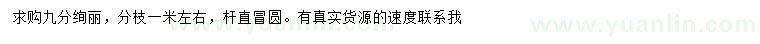 求購9公分絢麗