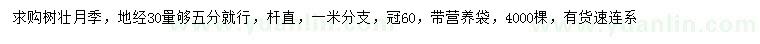 求購地徑30量5公分樹壯月季