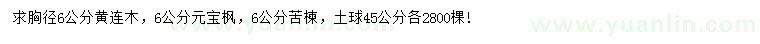 求購黃連木、元寶楓、苦楝