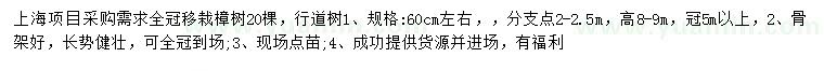 求購60公分左右香樟