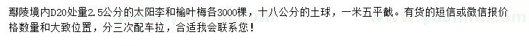 求購地徑20量2.5公分太陽李、榆葉梅