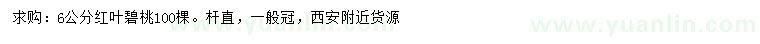 求購6公分紅葉碧桃