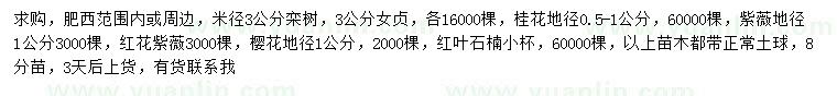 求購(gòu)欒樹(shù)、女貞、桂花等