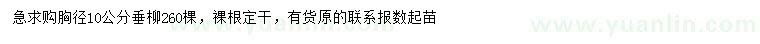 求購胸徑10公分垂柳
