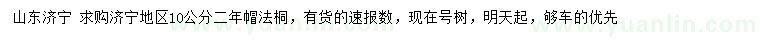 求購10公分法桐