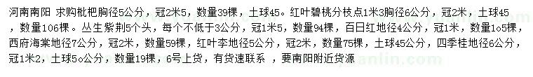 求購枇杷、紅葉碧桃、叢生紫荊等