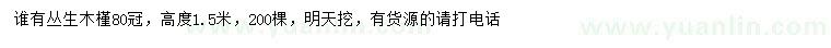 求購冠幅80公分叢生木槿