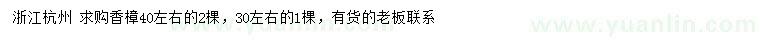 求購30、40公分左右香樟