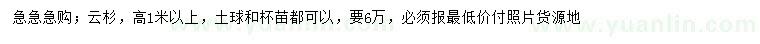求購(gòu)高1米以上云杉
