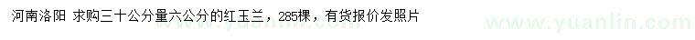求購30公分量6公分紅玉蘭