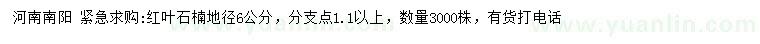 求購地徑6公分紅葉石楠