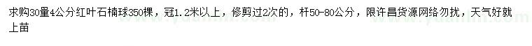 求購30量4公分紅葉石楠球
