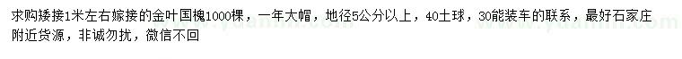 求購地徑5公分以上矮接嫁接金葉國槐