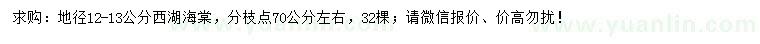 求購地徑12-13公分西湖海棠