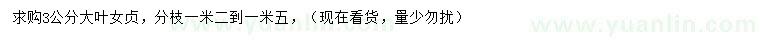 求購3公分大葉女貞