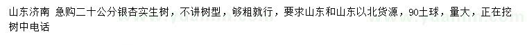 求購20公分銀杏