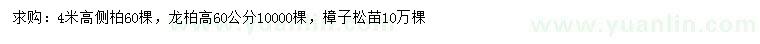 求購側(cè)柏、龍柏、樟子松