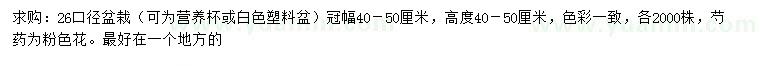 求購冠幅40-50公分巴西野牡丹、芍藥