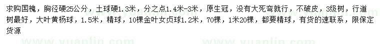 求購國(guó)槐、大葉黃楊球、金葉女貞球