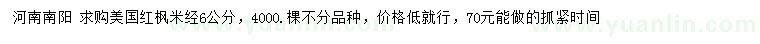 求購米徑6公分美國紅楓