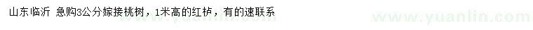 求購3公分嫁接桃樹、高1米紅櫨