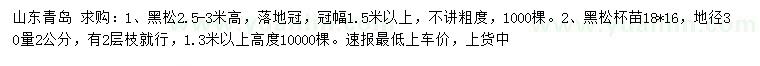 求購地徑30量2公分黑松